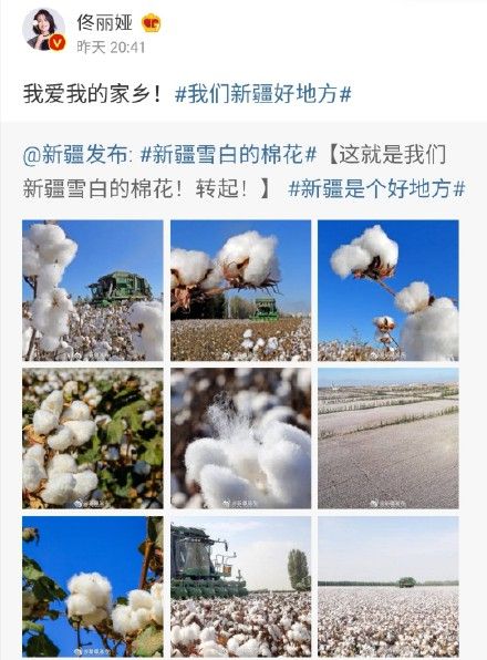 H&M惹众怒！佟丽娅肖战等众星发声支持新疆棉花